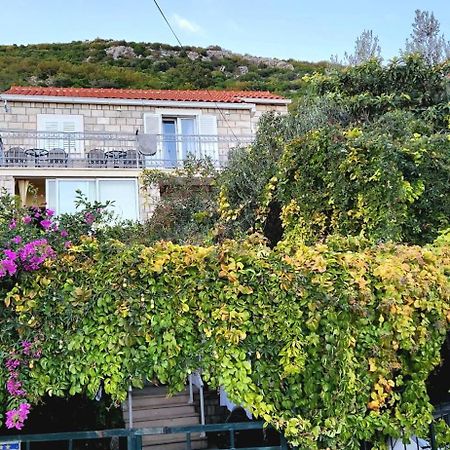 Tranquility And Nature In 4 Bedroom With Sea View Mokošica Extérieur photo