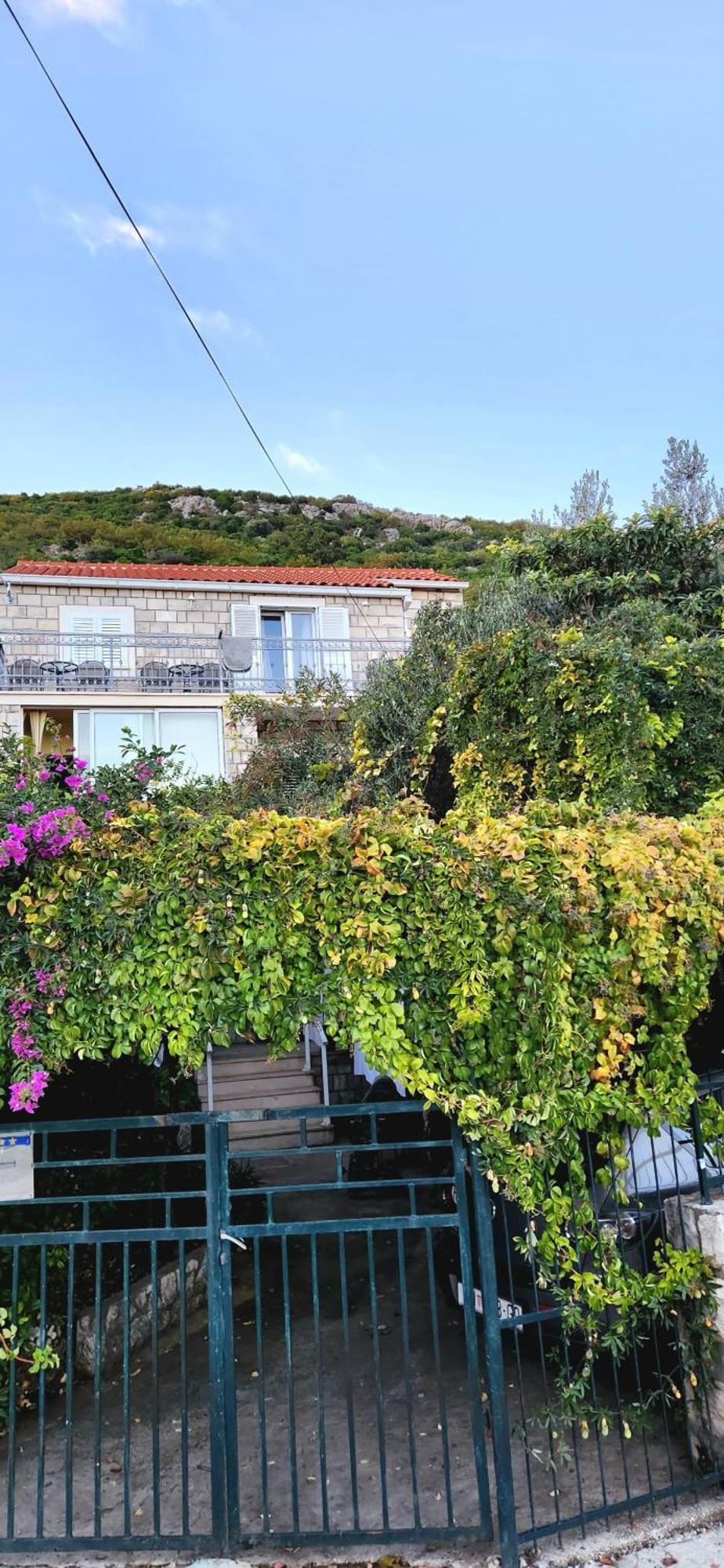 Tranquility And Nature In 4 Bedroom With Sea View Mokošica Extérieur photo